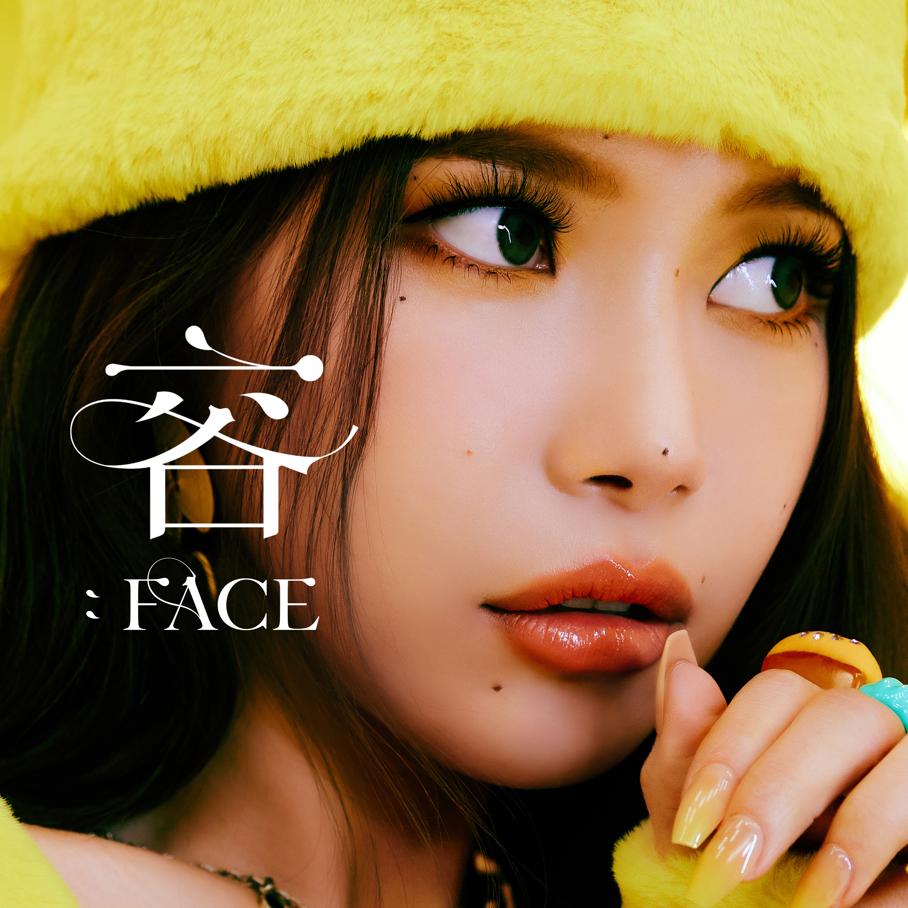 SolarFACE